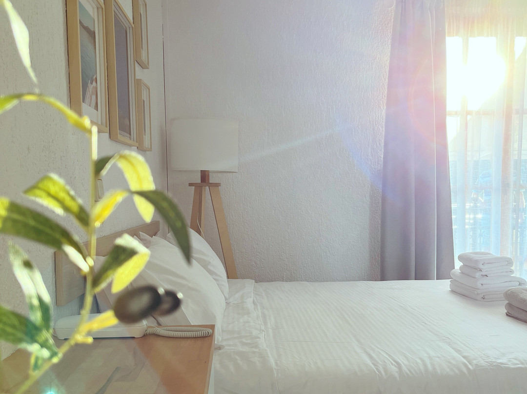 Panormos Beach Hotel Skopelos主图