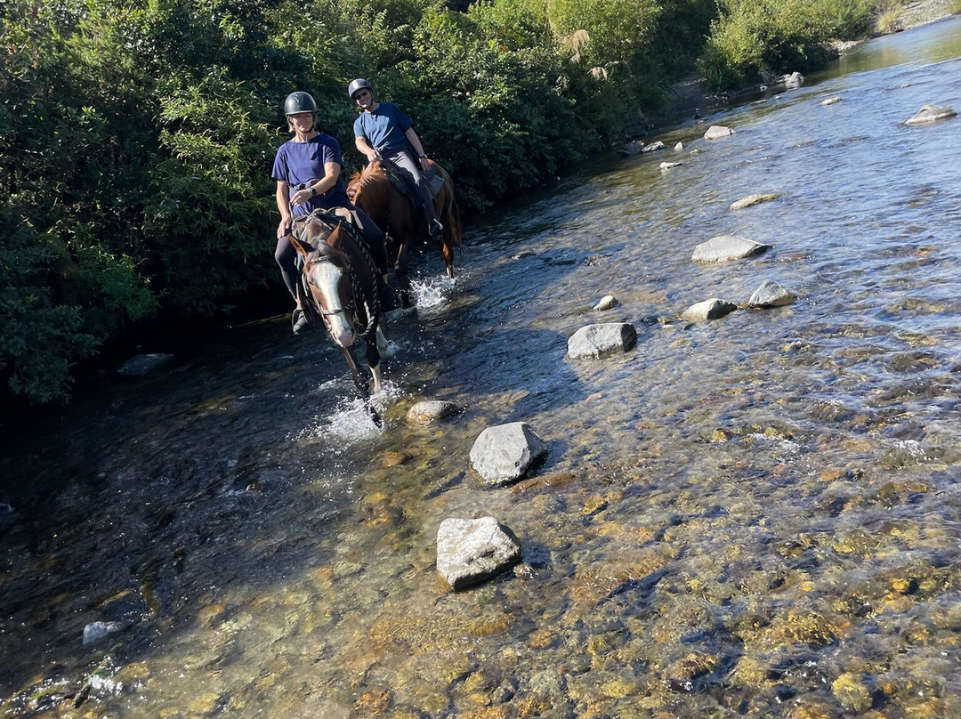 Korohe Horse Treks景点图片