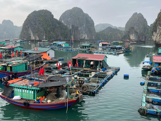 Authentic Viet Nam Explore-Cat Ba Town必去景点