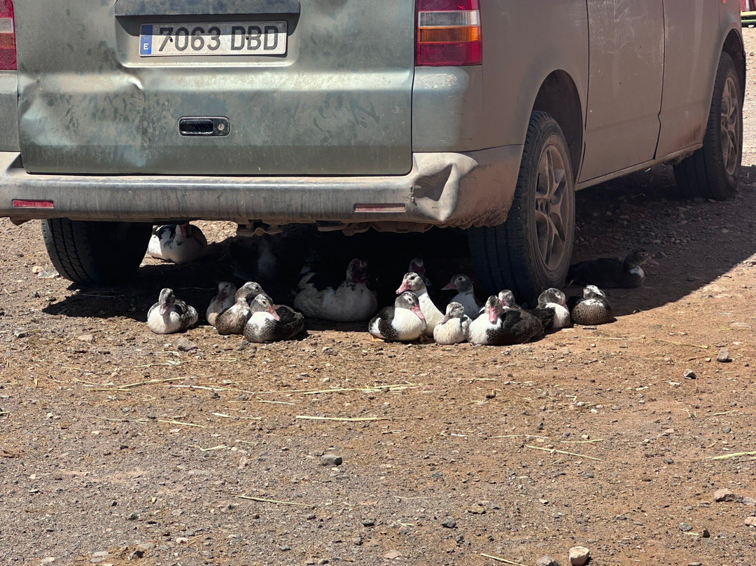 The Animal Academy-Antigua必去景点