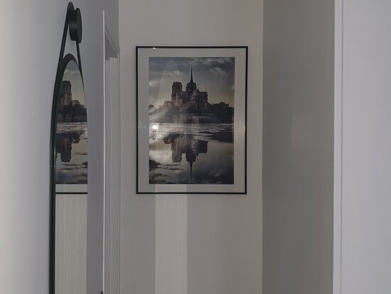 金合欢星斗酒店主图