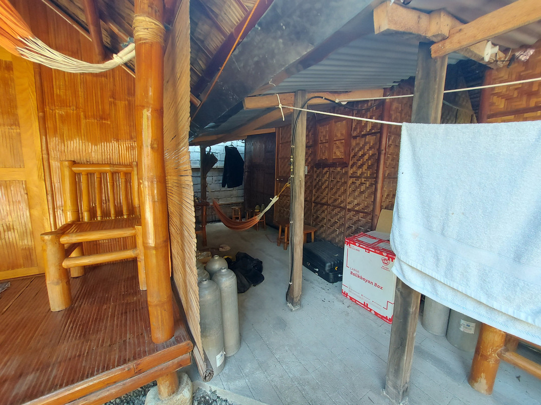 AivyMaes Divers Dauin景点图片