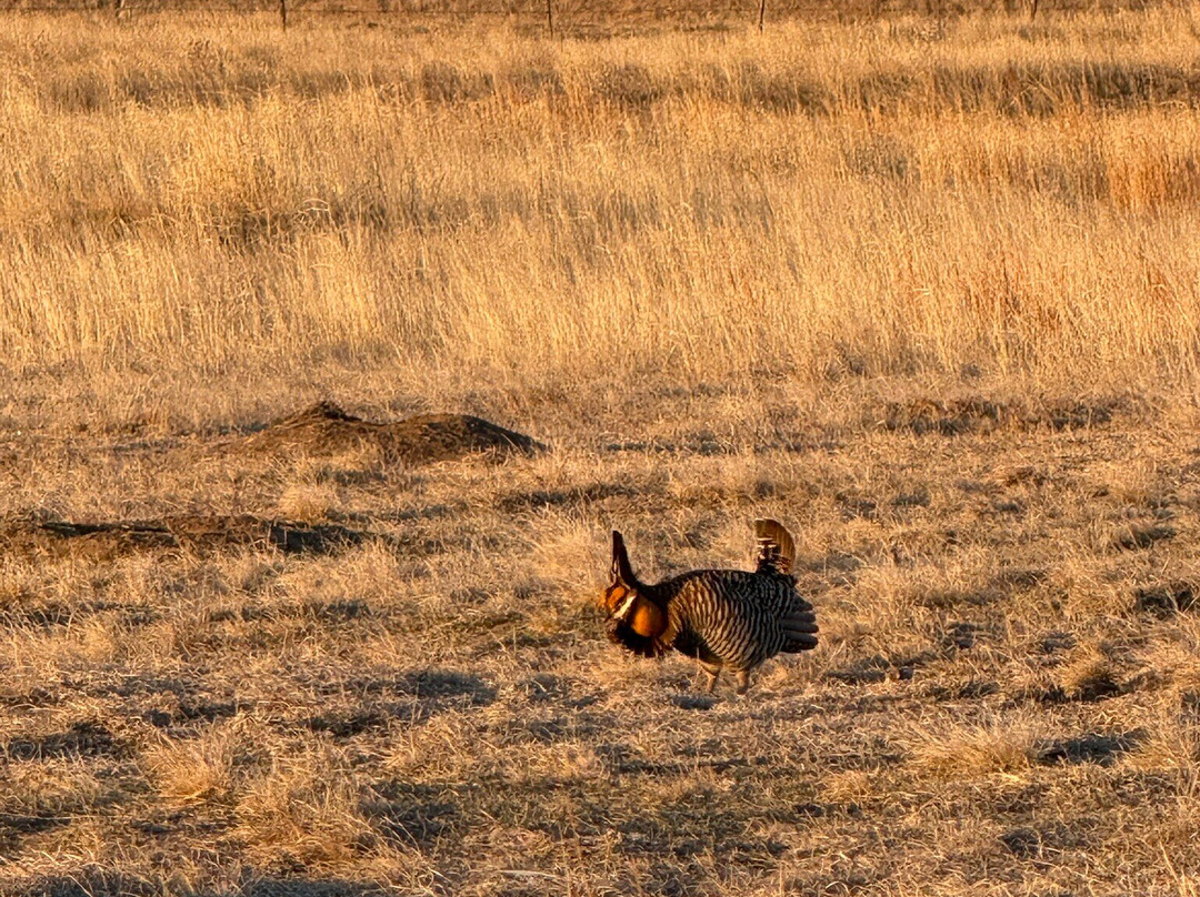 Dusty Trails-北普拉特必去景点