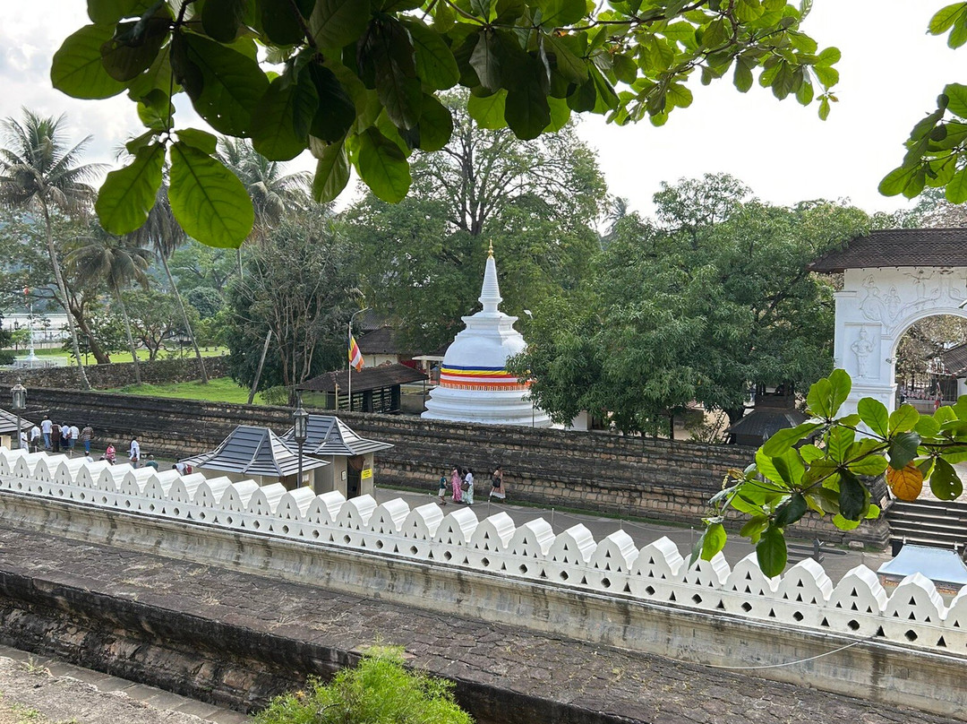 Suriya Lanka Travels-尼甘布必去景点