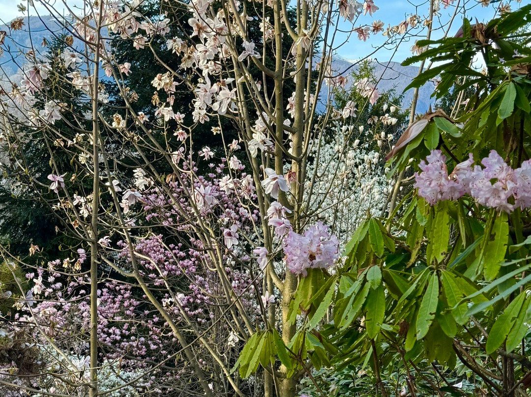 Parco Botanico del Gambaragno-San Nazzaro必去景点