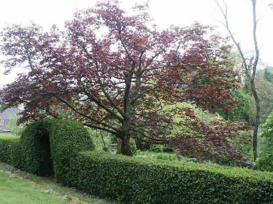 Abercelyn Country House主图