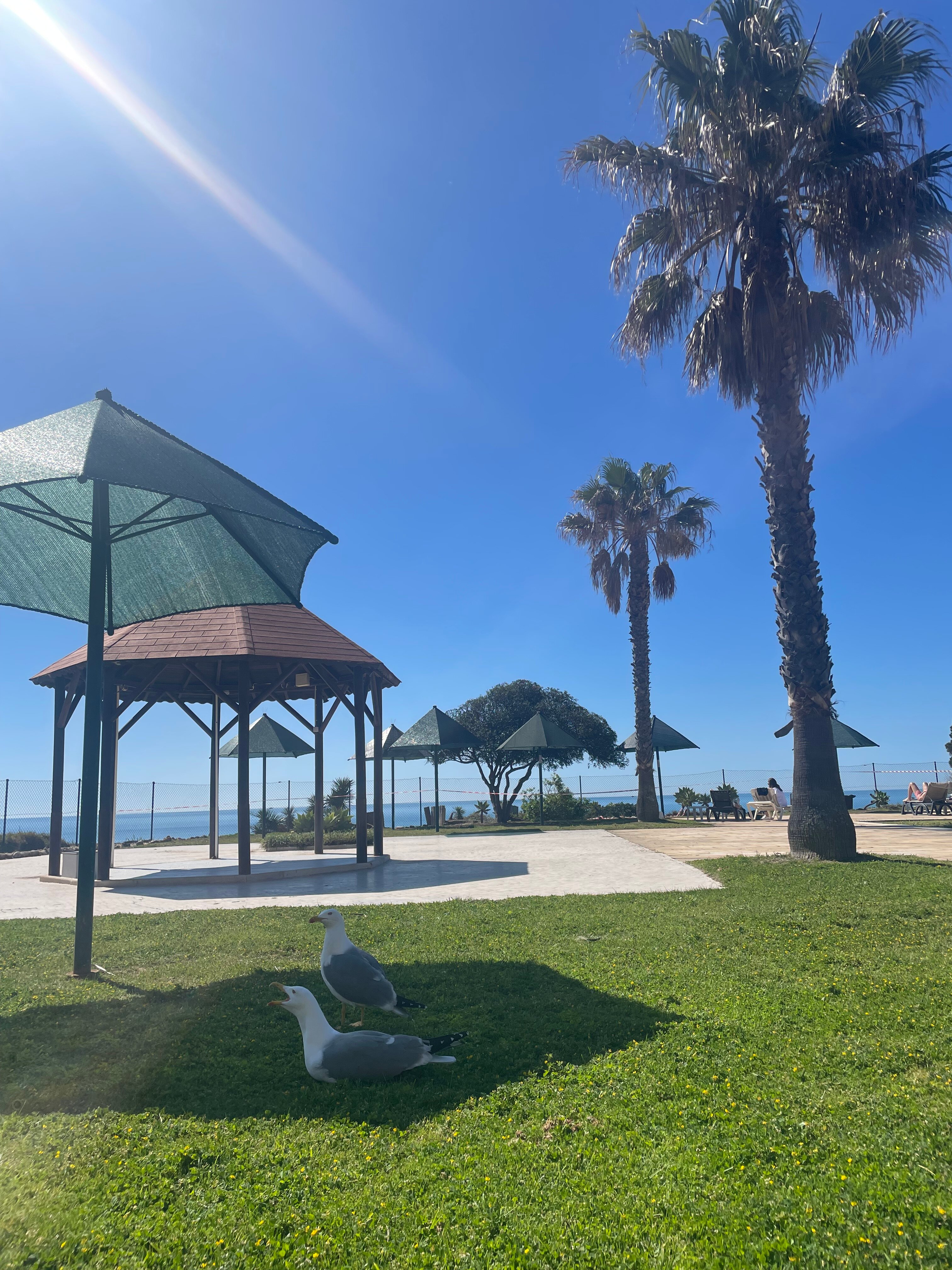 Pestana Viking-浴室