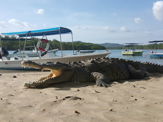 Tamarindo Xperience-塔马林多必去景点
