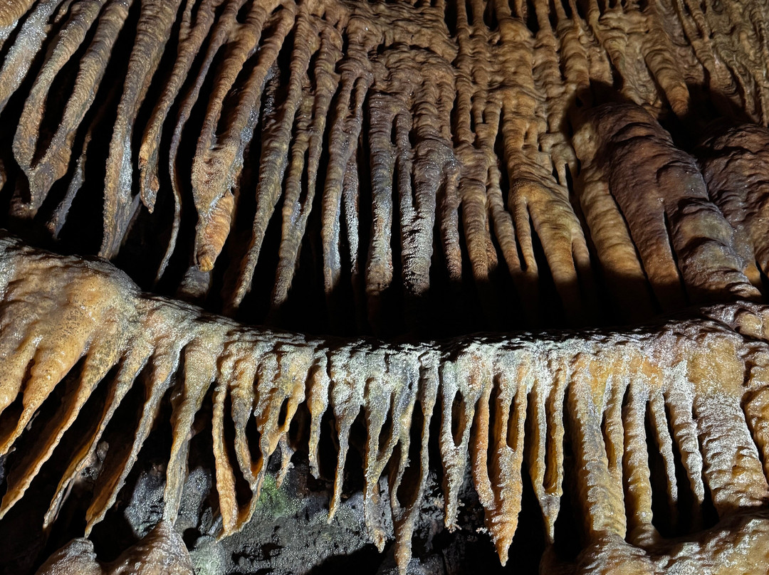 Onyx Cave-Cave City必去景点