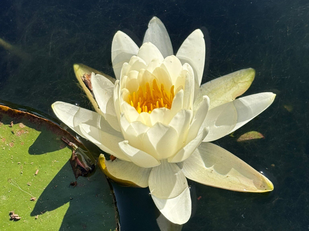 Hotel & Restaurante Passarim主图