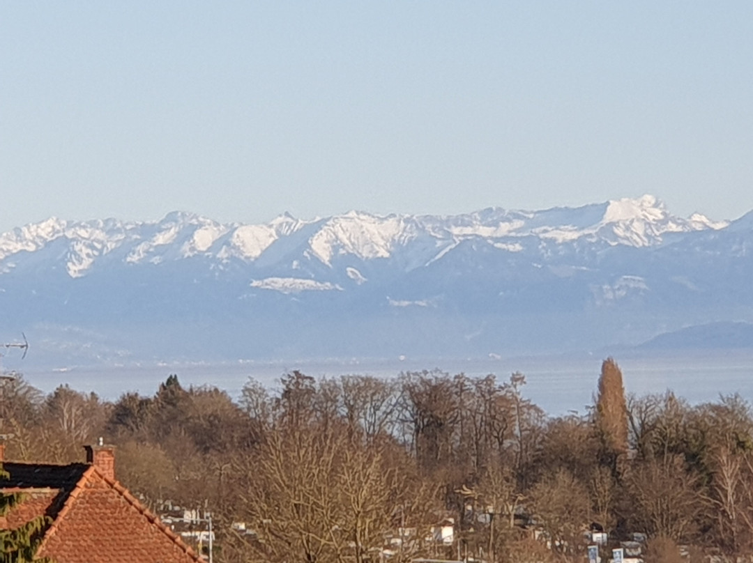 Ittendorf酒店住宿-Hotel Mohren Hagnau