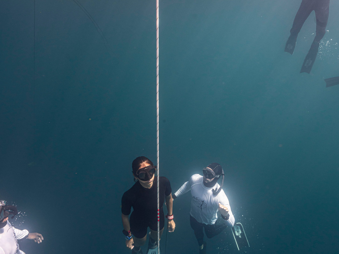 Freedivinglife Riviera Maya-普拉亚德尔卡曼必去景点