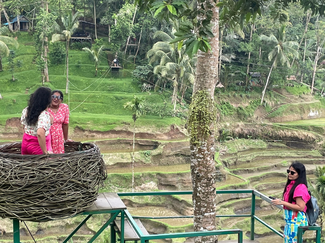Bali Point Tour - Day Tours景点图片