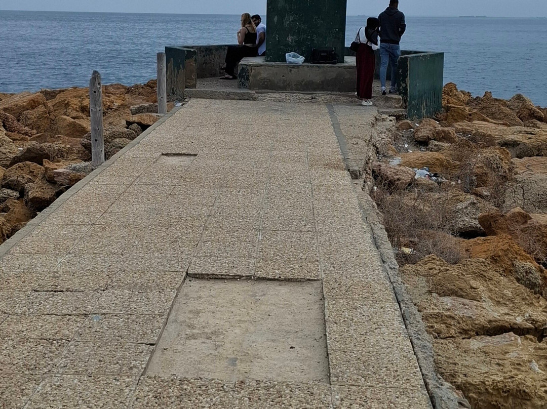 Starboard Harbour Wall-康大维港必去景点