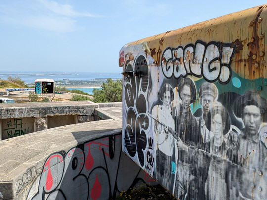 Sesimbra Safari-塞新布拉必去景点