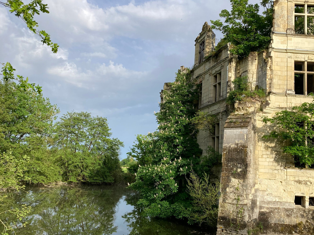 Château de la Mothe Chandeniers景点图片