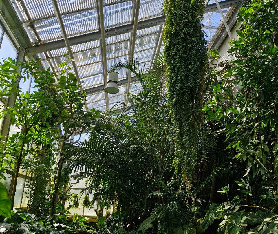 Botanischer Garten der Technischen Universitat Braunschweig-布伦瑞克必去景点