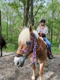 Red Fern Riding Center-Simpsonville必去景点