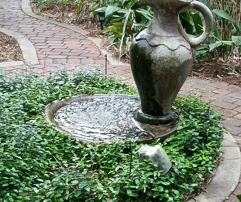 Far View Bed & Breakfast Estate主图