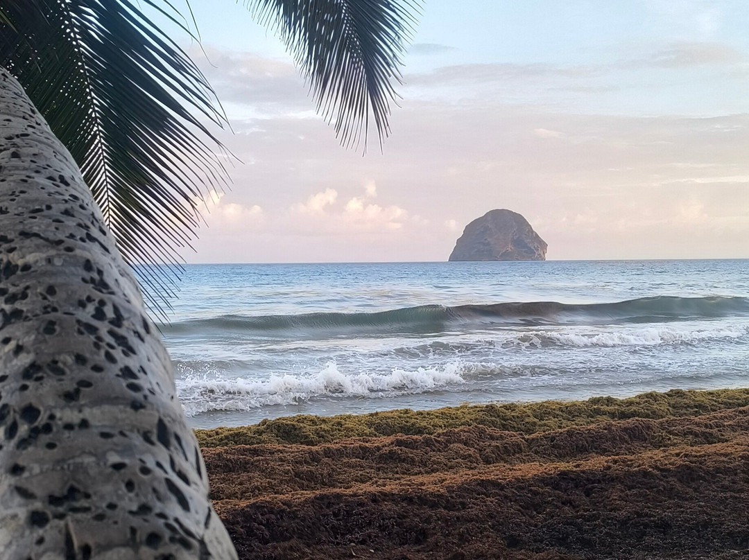 Diamond Rock & Vista Point-Le Diamant必去景点