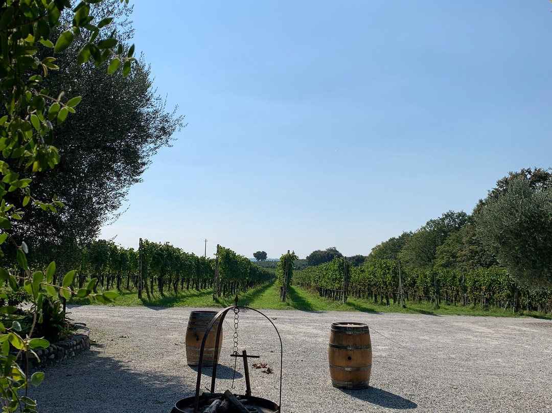 Winery Podere Selva Capuzza-代森扎诺-德尔加达必去景点