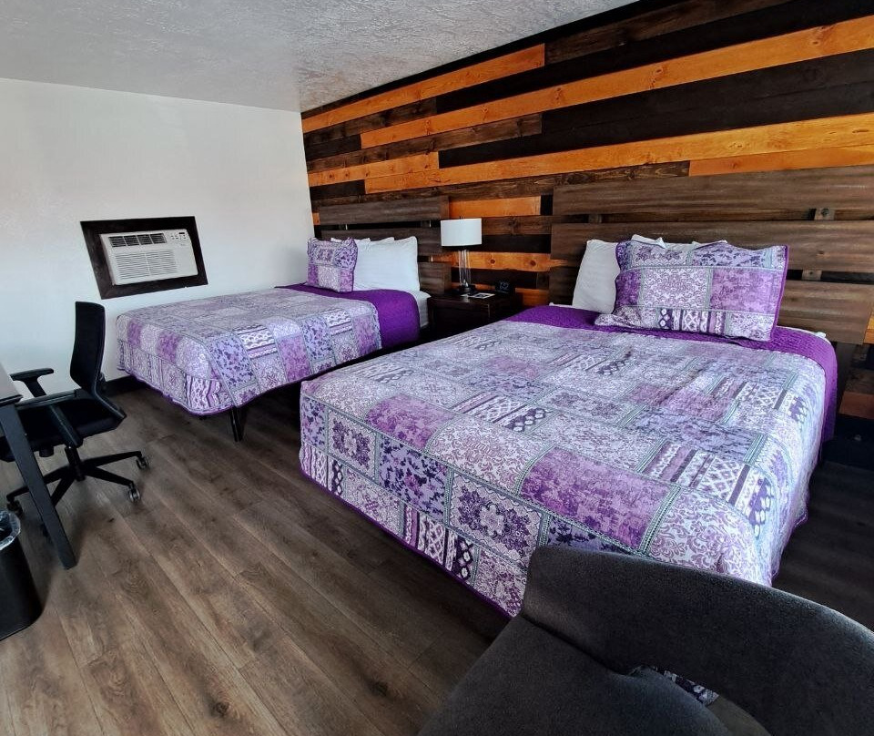 紫鼠尾草汽车旅馆主图