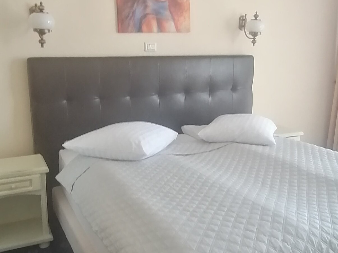 Hotel Coandi主图