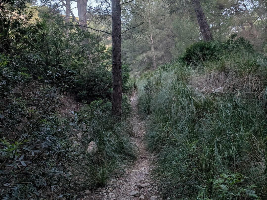 Talaia D’Alcudia-阿库迪亚必去景点
