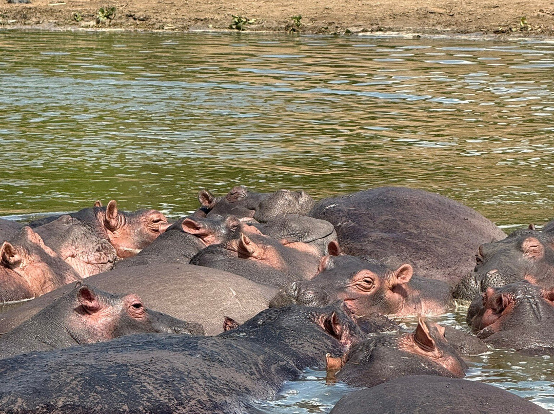 Great Adventures Uganda-坎帕拉必去景点