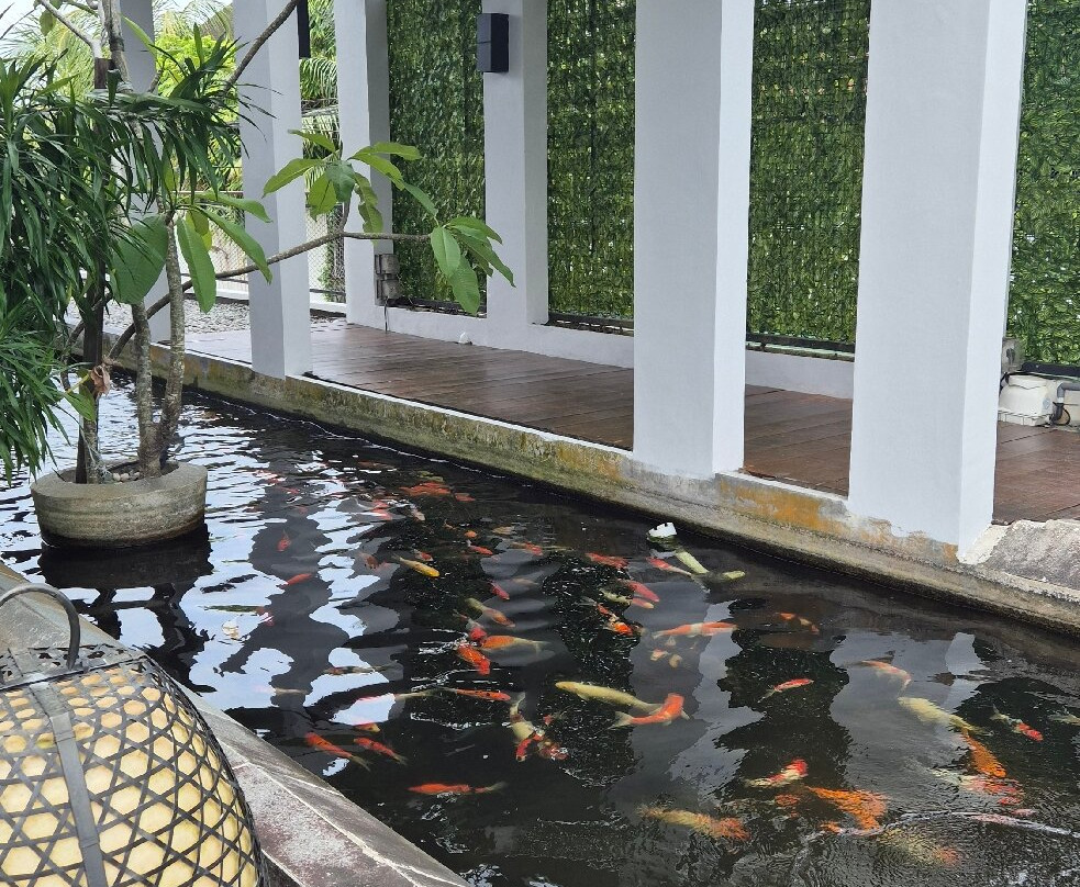 Katta Coffee & Kitchen