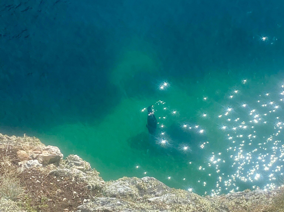 Holyhead Breakwater Country Park景点图片