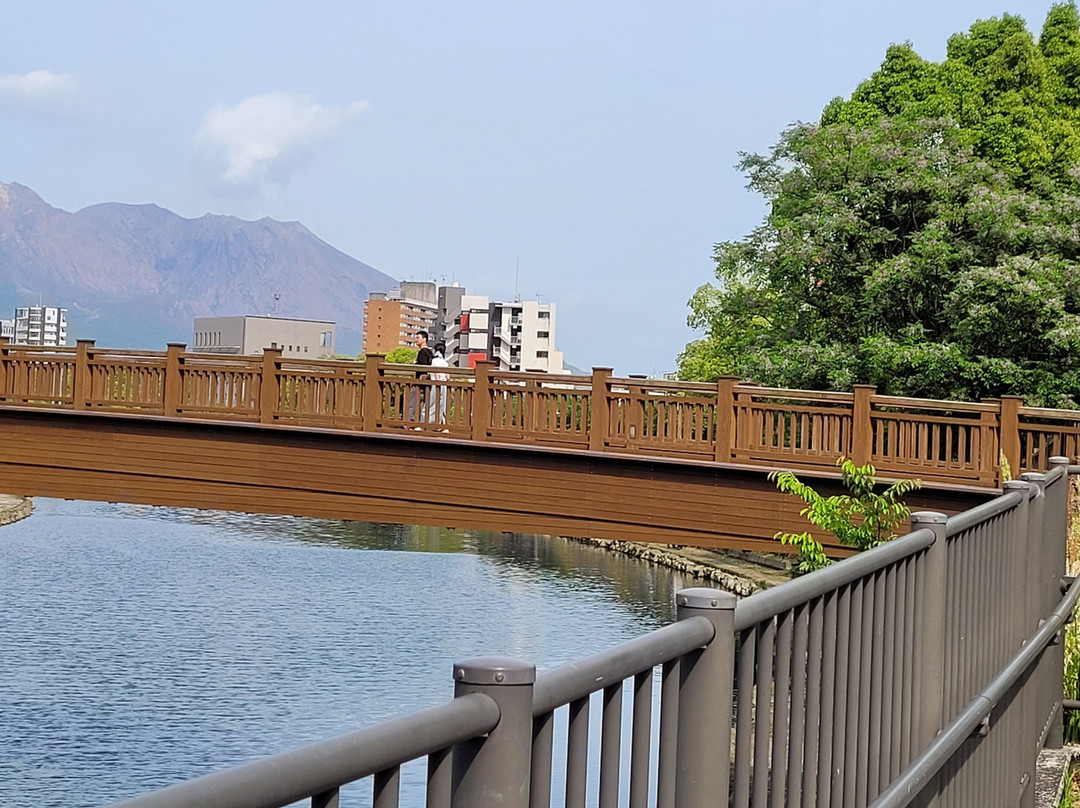 Sakurajima Island View-鹿儿岛市必去景点