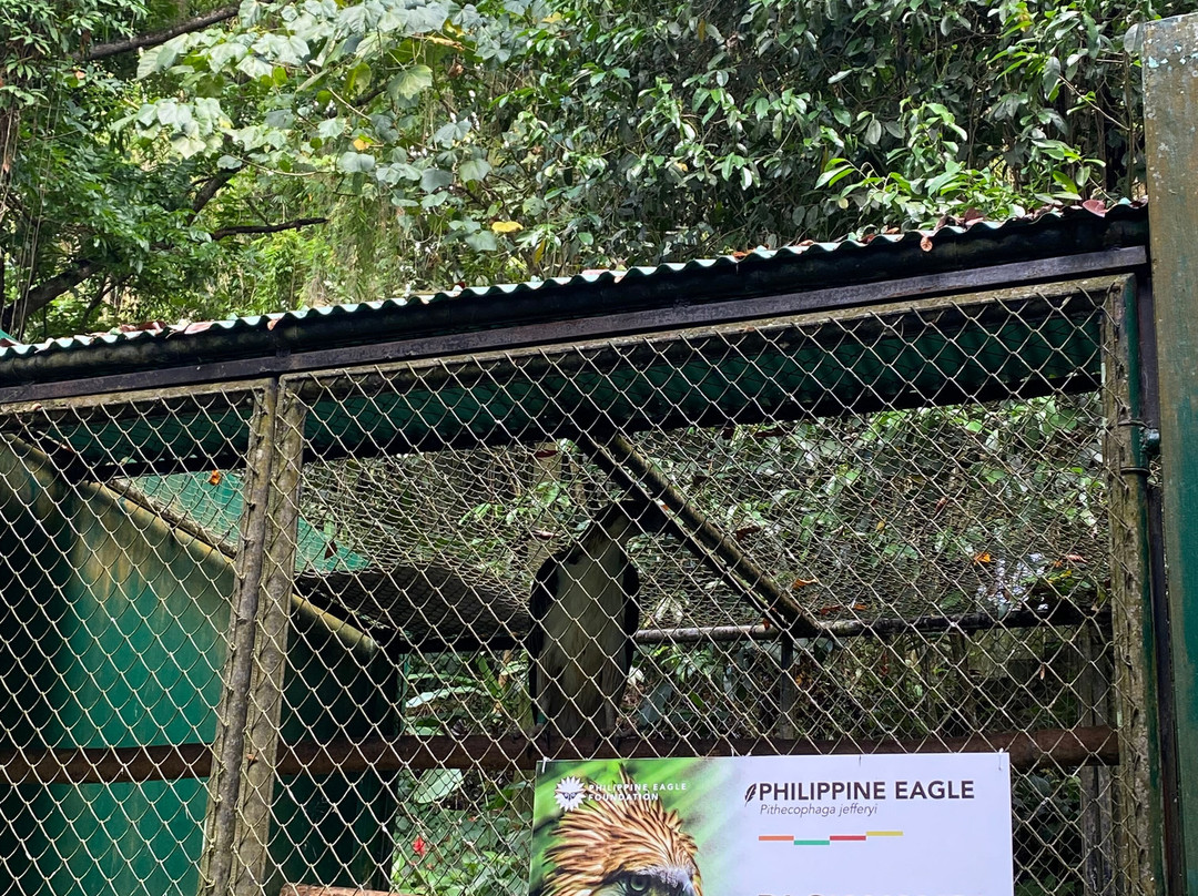 Philippine Eagle Center-达沃必去景点