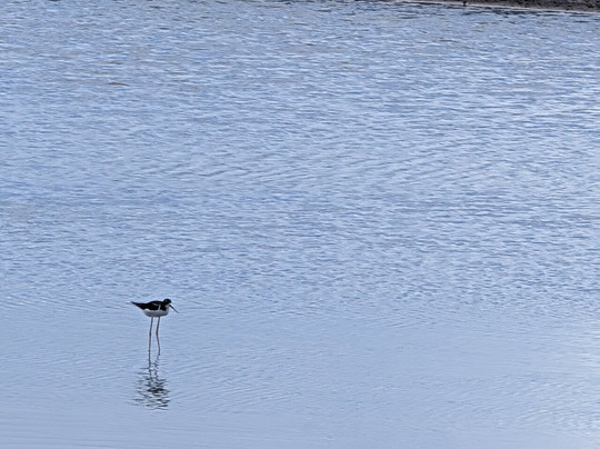 Explore Maui Nature-基黑必去景点