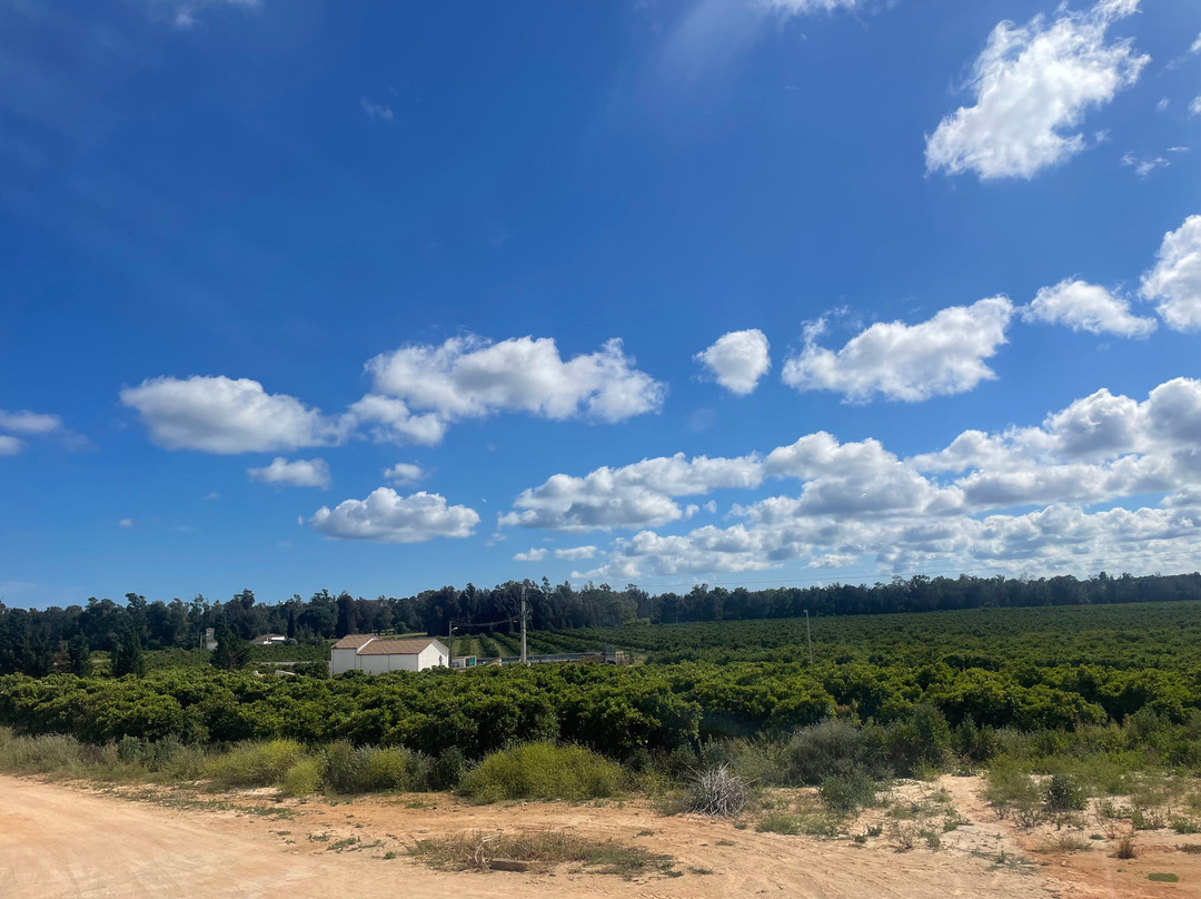 Villa Alvor - Wine & Tourism-阿沃必去景点