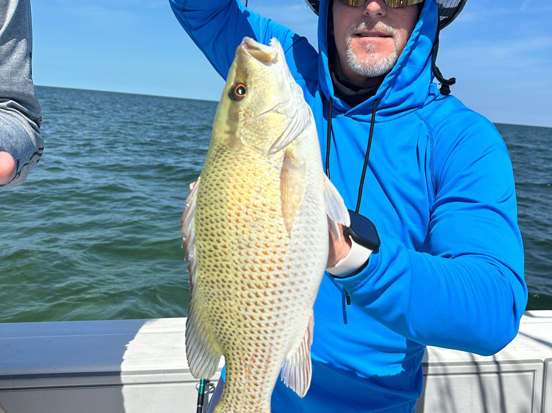 L & L First Love Charters-Duck Key必去景点