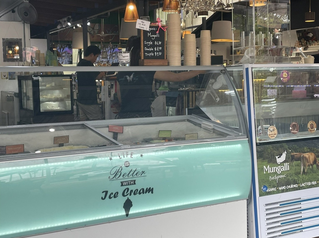 Butterfly Shop Kuranda景点图片