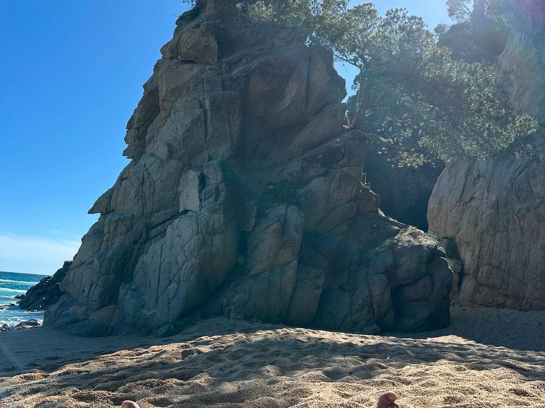 Playa Cala Sa Boadella-犹兰特德玛必去景点