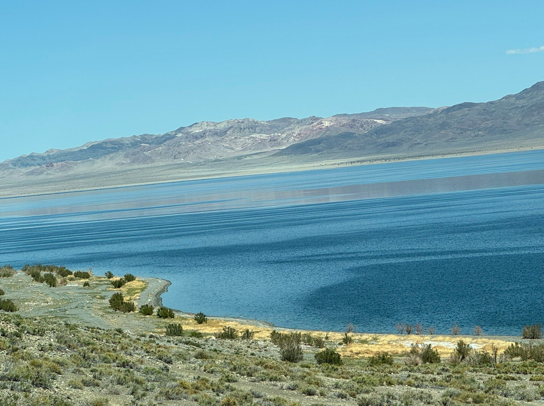Walker Lake Recreation Area-Hawthorne必去景点