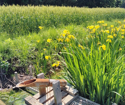 Poppy Happy Square-鸿巢市必去景点