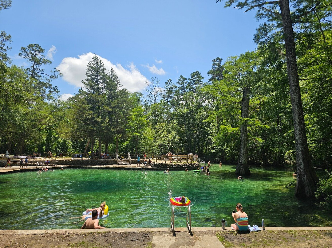 Ponce de Leon Springs State Park景点图片