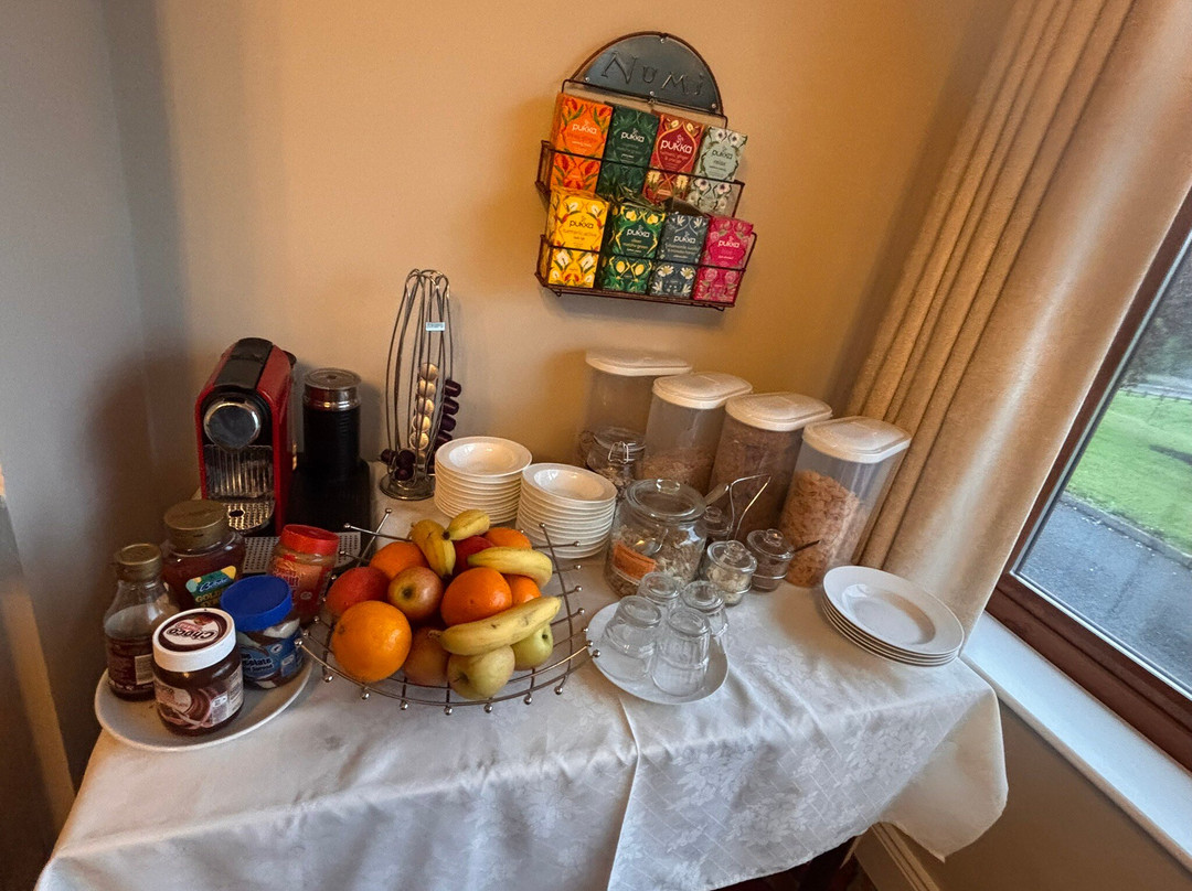 O'Shea's Ceol Na Habhann主图