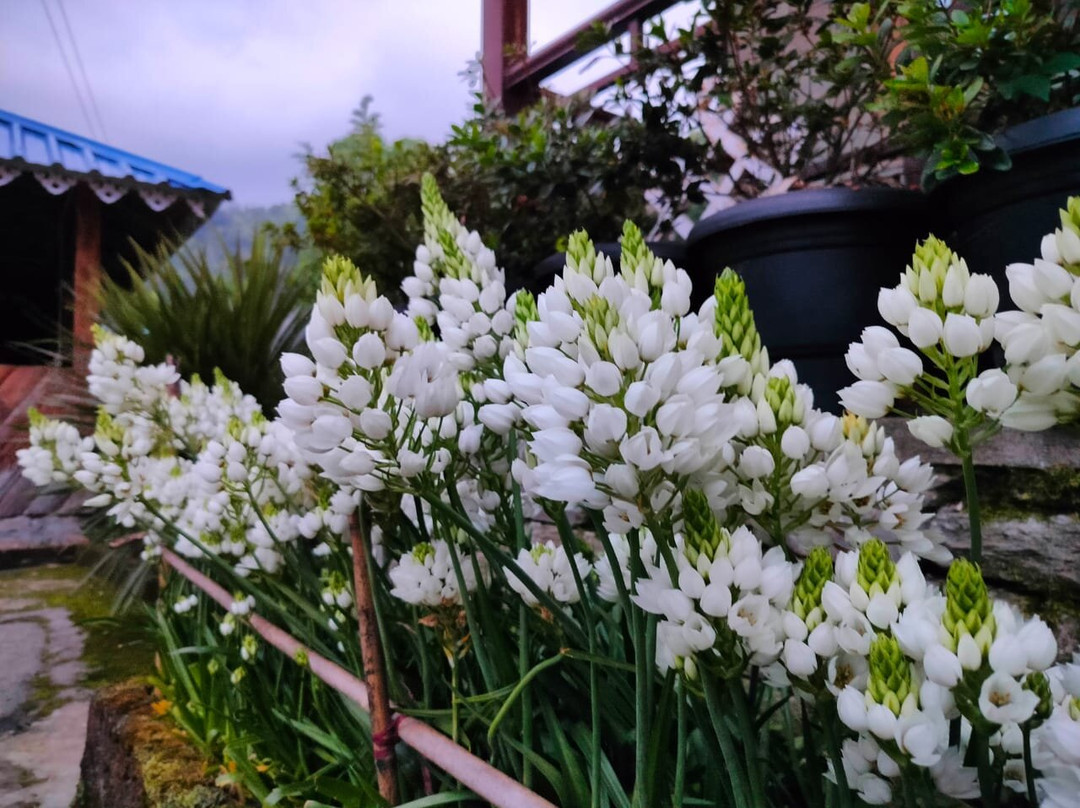 Selep Village Homestay主图