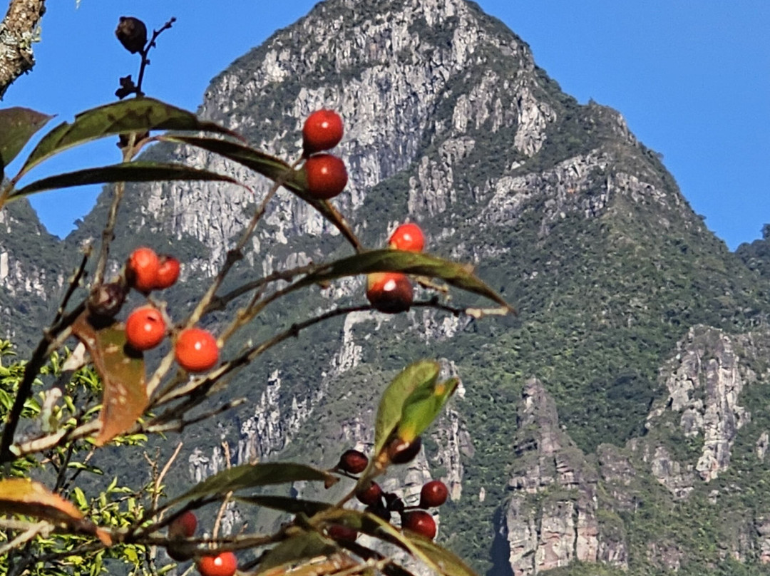 Casa de Aventura Adventure Shop & School-Brusque必去景点