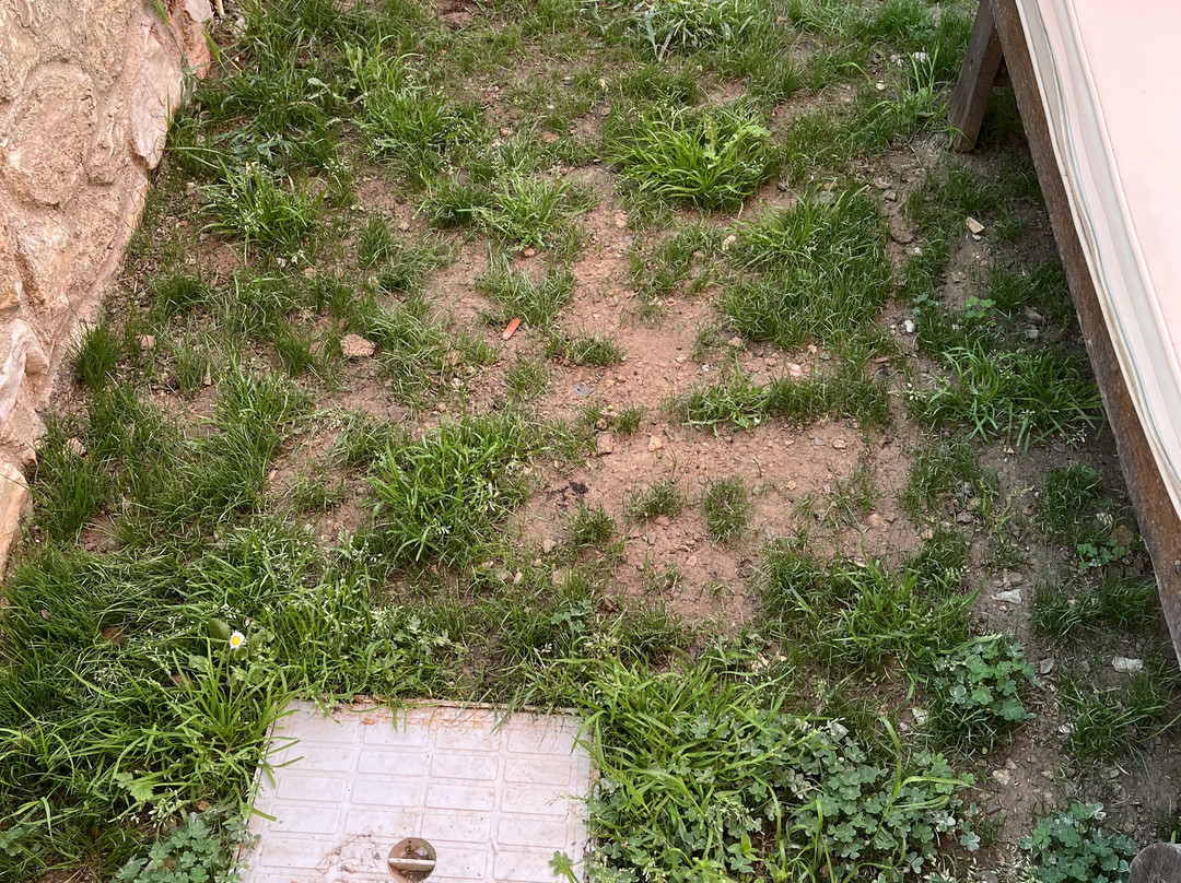 Alkyon Hotel Skiathos主图