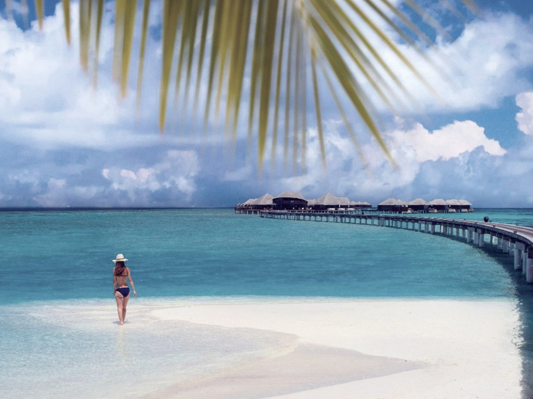 波杜希蒂岛度假村主图