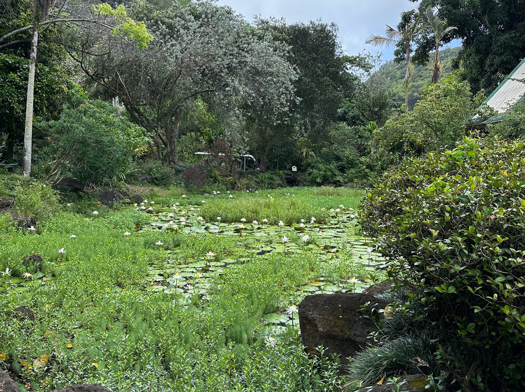 Waimea Falls-Pupukea必去景点