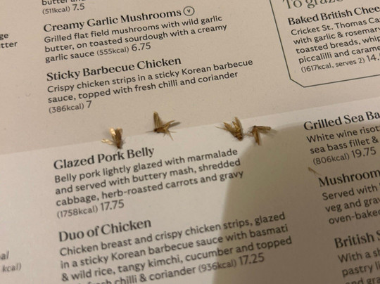 Chipperfield酒店住宿-Two Brewers Hotel by Greene King Inns