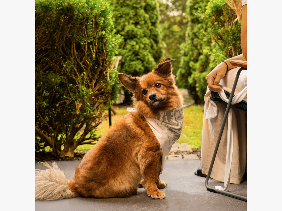 Trailborn Highlands主图