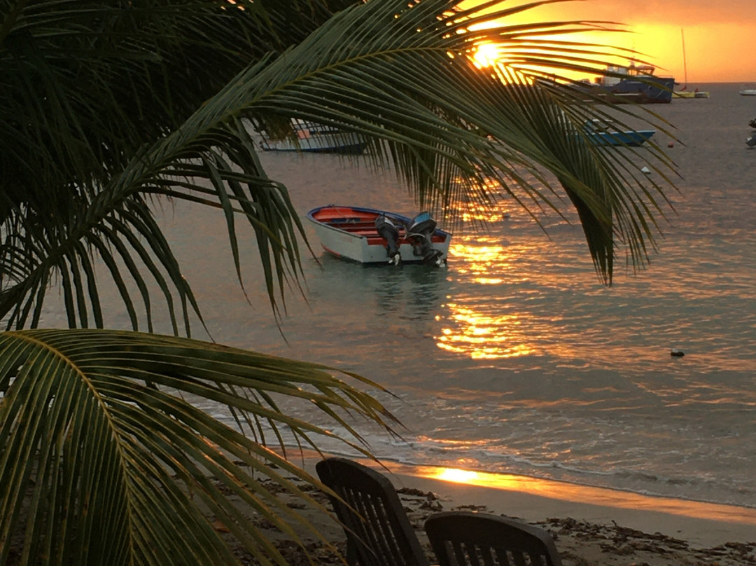 Lô Bleu Hôtel主图